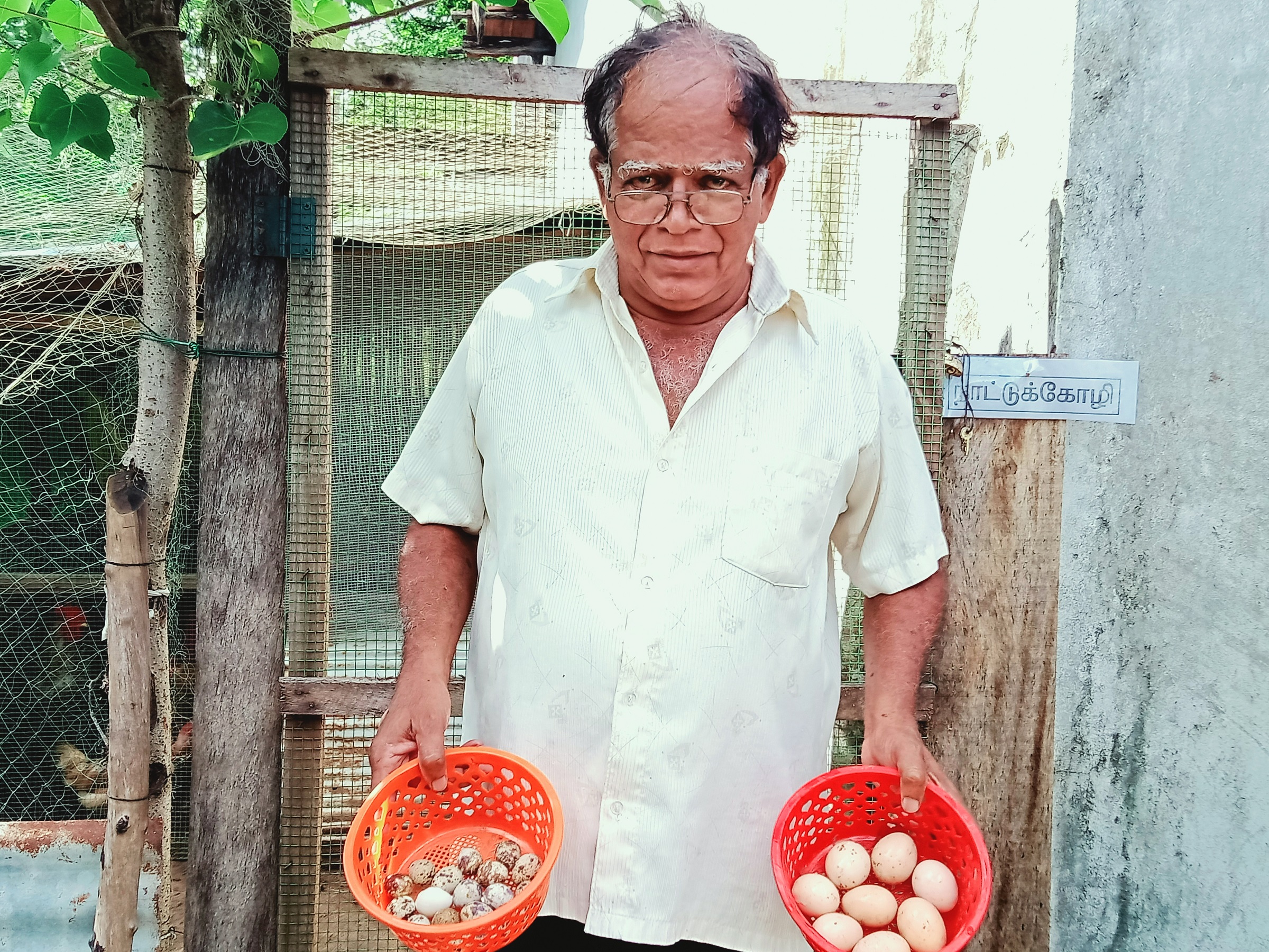 Eldre mann på Sri Lanka viser fra ulike egg i to plastboller.